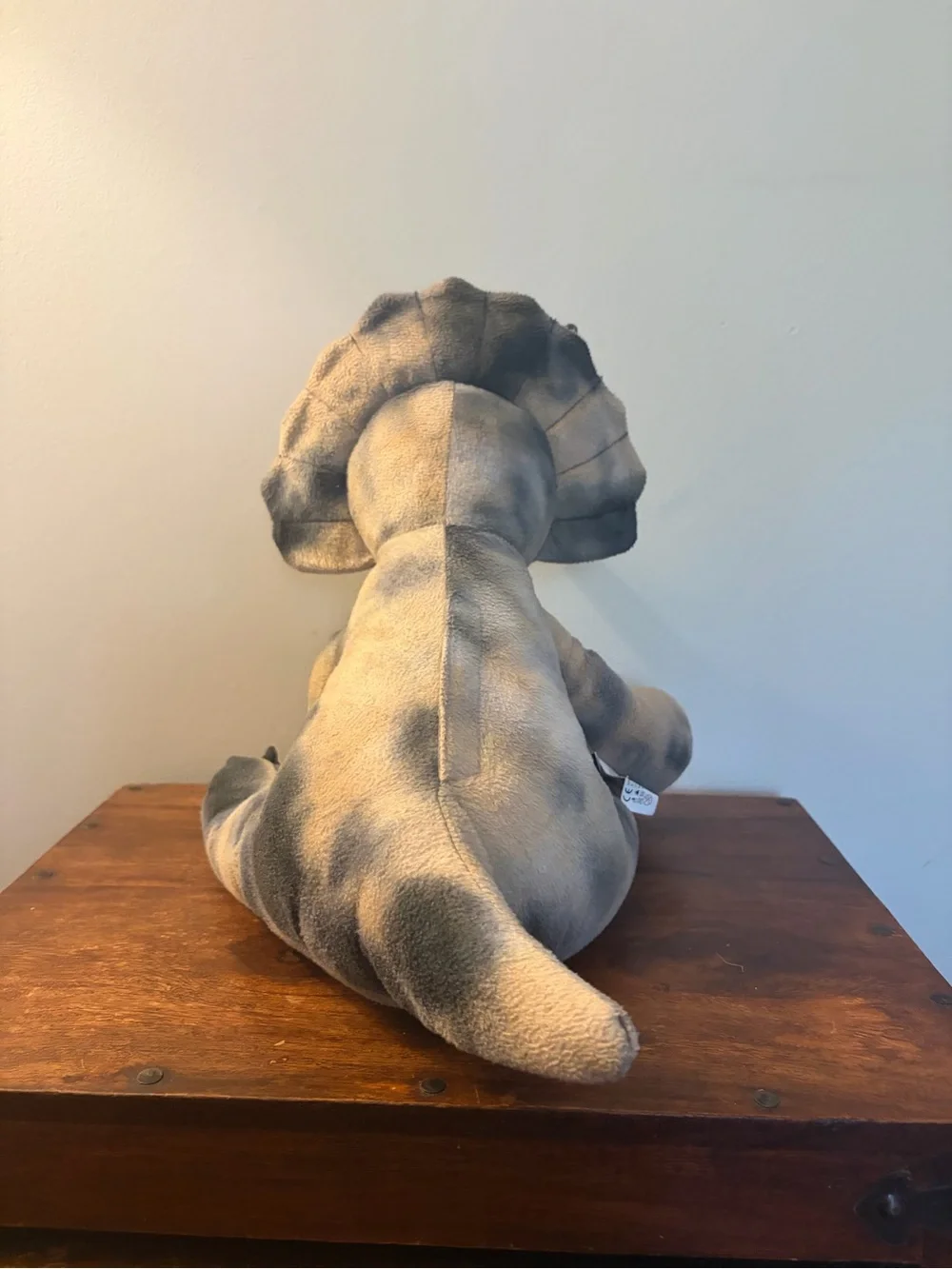 Teddy Mountain tops triceratops